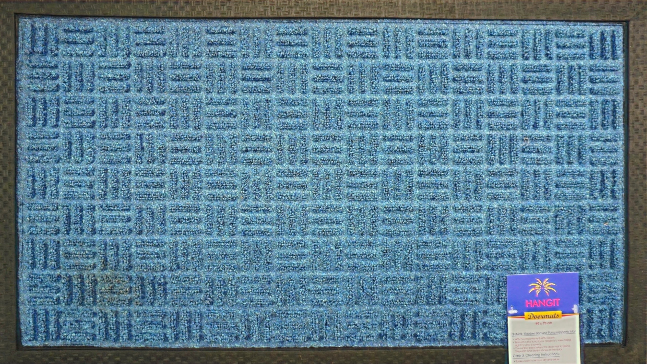 40 x 70 x 1 cm(Aqua Blue) | Dirt trapper door mat for indoor and outdoor, polypropylene pile door mat, washable, barrier door mat, heavy duty, non-slip entrance rug shoes scraper, super absorbent front door mat carpet for main door, bedroom